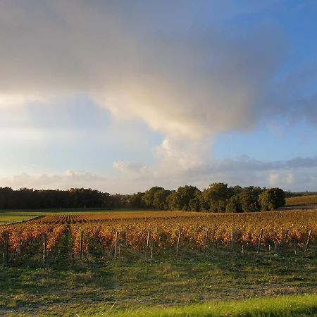 Maison D'Hotes - Le Logis Du Medoc Hotel Saint-Yzans-de-Medoc Ngoại thất bức ảnh